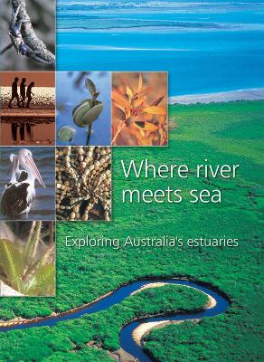 Book cover for Where River Meets Sea