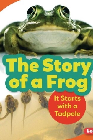 Cover of The Story of a Frog