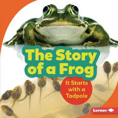 Book cover for The Story of a Frog