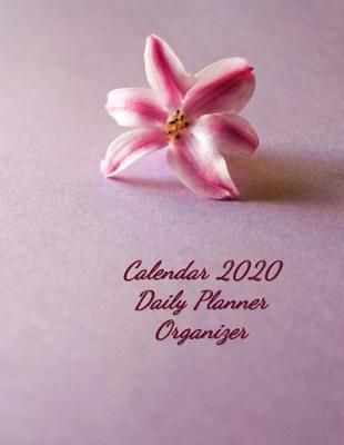 Book cover for Calendar 2020 Daily Planner Organizer