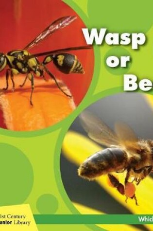 Cover of Wasp or Bee