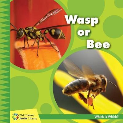 Book cover for Wasp or Bee