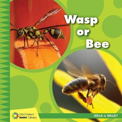 Cover of Wasp or Bee