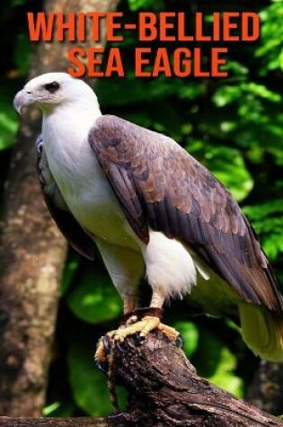 Cover of White-Bellied Sea Eagle