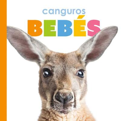 Book cover for Canguros Beb�s