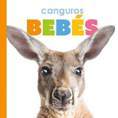 Book cover for Canguros Bebés