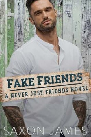 Cover of Fake Friends