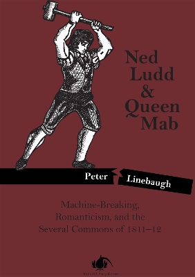 Book cover for Ned Ludd & Queen Mab