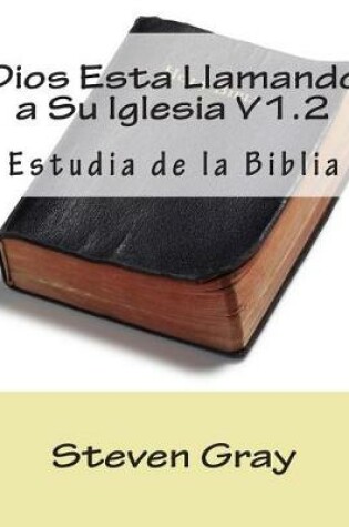 Cover of Dios Esta Llamando a Su Iglesia V1.2