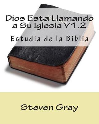 Book cover for Dios Esta Llamando a Su Iglesia V1.2