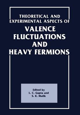 Book cover for Theoretical and Experimental Aspects of Valence Fluctuations and Heavy Fermions