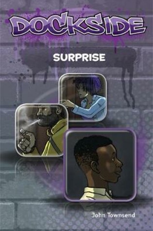 Cover of Surprise (Stage 1 Book 10)