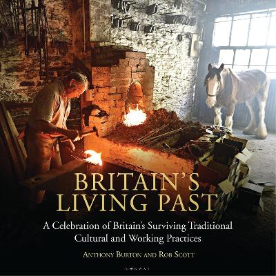 Book cover for Britain's Living Past