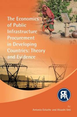 Book cover for The Economics of Public Infrastructure Procurement in Developing Countries: Theory and Evidence