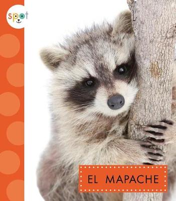 Book cover for El Mapache (Raccoons)