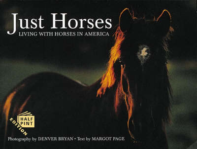 Book cover for Just Horses