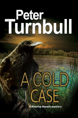 Book cover for A Cold Case