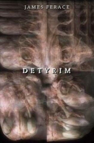 Cover of Detyrim