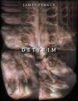 Book cover for Detyrim