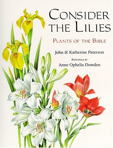 Book cover for Consider the Lilies