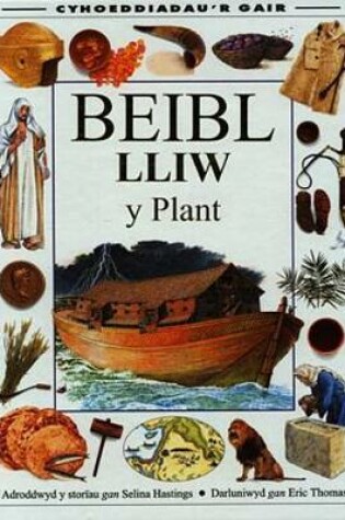 Cover of Beibl Lliw y Plant