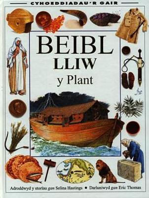 Book cover for Beibl Lliw y Plant