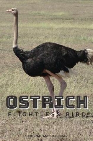 Cover of Ostrich Flightless Bird