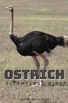 Book cover for Ostrich Flightless Bird