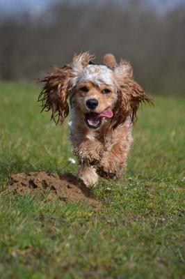 Book cover for Cute American Cocker Spaniel Running Journal