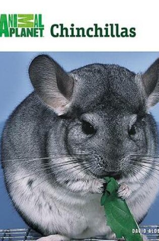 Cover of Chinchillas