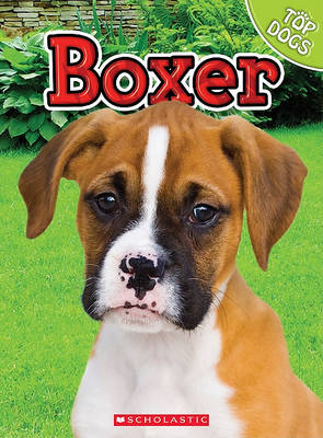 Cover of Boxer