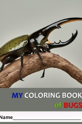 Cover of My Coloring Book of Bugs