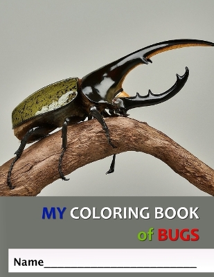 Book cover for My Coloring Book of Bugs