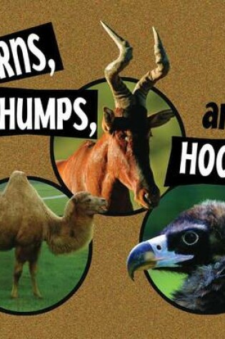 Cover of Horns, Humps, and Hooks (PB)