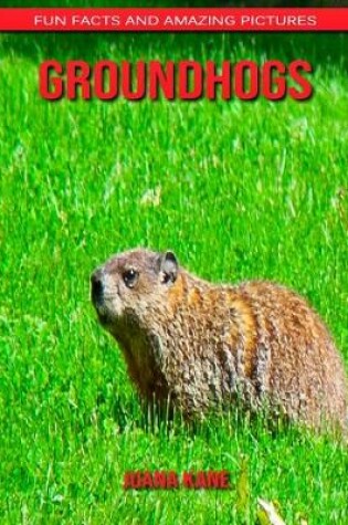 Cover of Groundhogs