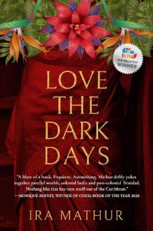 Cover of Love the Dark Days