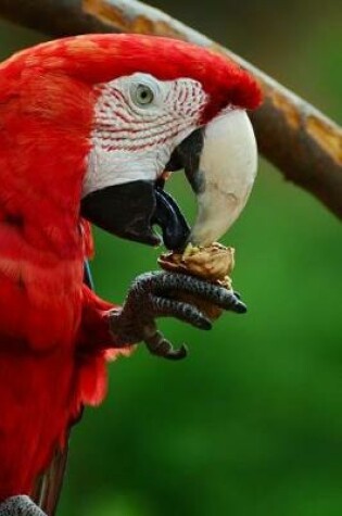 Cover of Scarlet Macaw Eating a Snack Journal