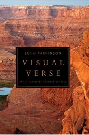 Cover of Visual Verse