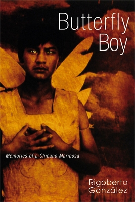 Book cover for Butterfly Boy