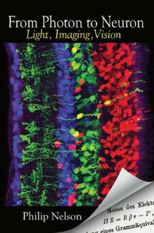 Cover of From Photon to Neuron