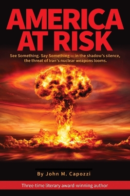 Book cover for America at Risk