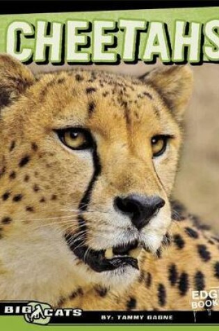 Cover of Cheetahs