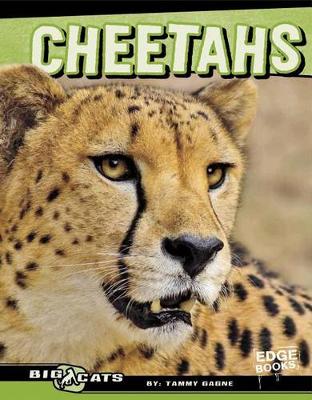 Cover of Cheetahs