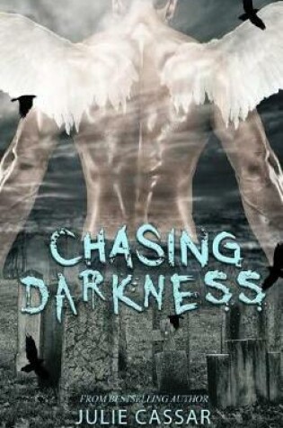 Cover of Chasing Darkness