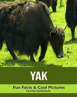 Book cover for Yak