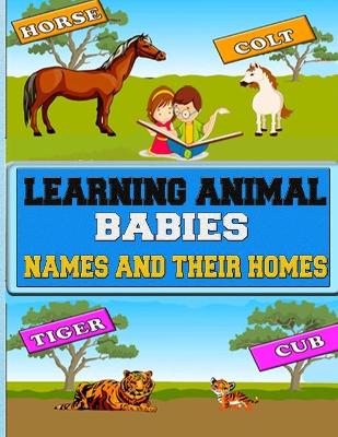 Book cover for Learning Animal Babies Names and Their Homes