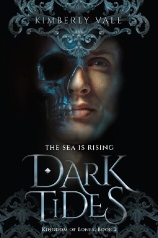Cover of Dark Tides