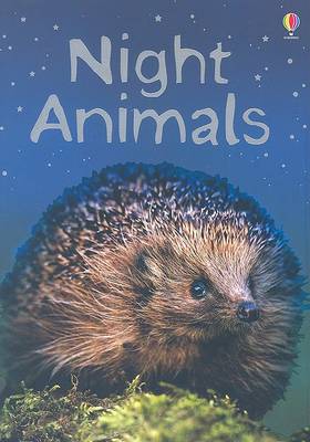 Book cover for Night Animals