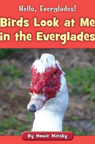 Cover of Birds Look at Me in the Everglades