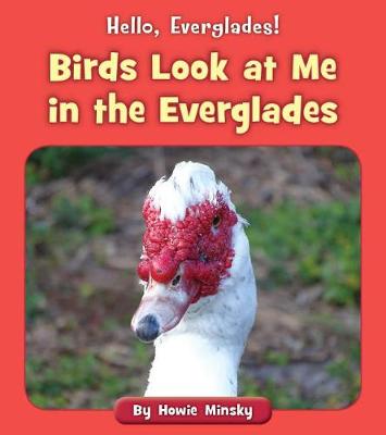 Cover of Birds Look at Me in the Everglades